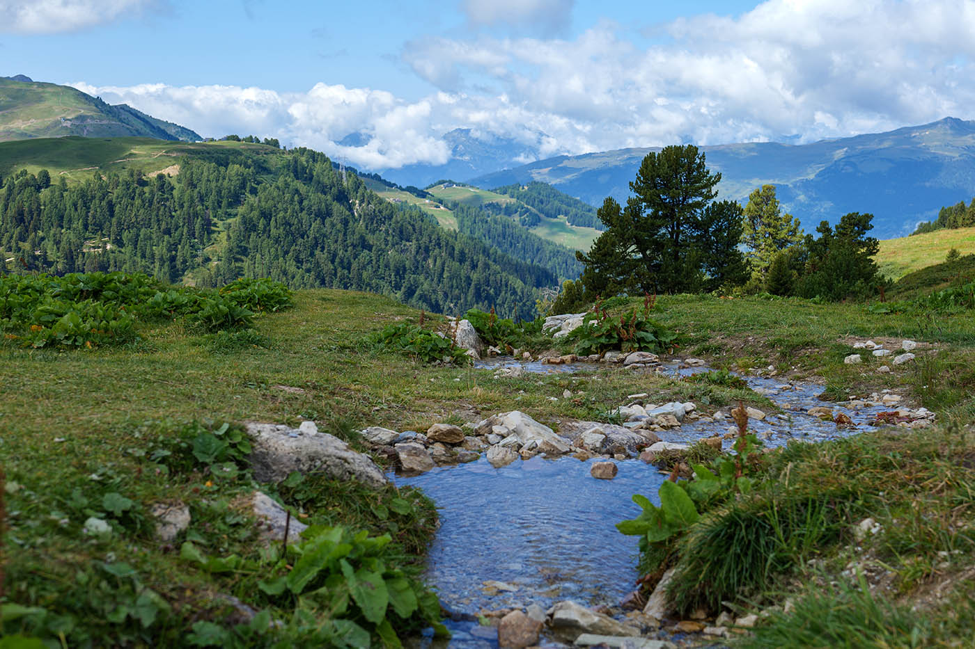 photo d'un cours d'eau en montagne