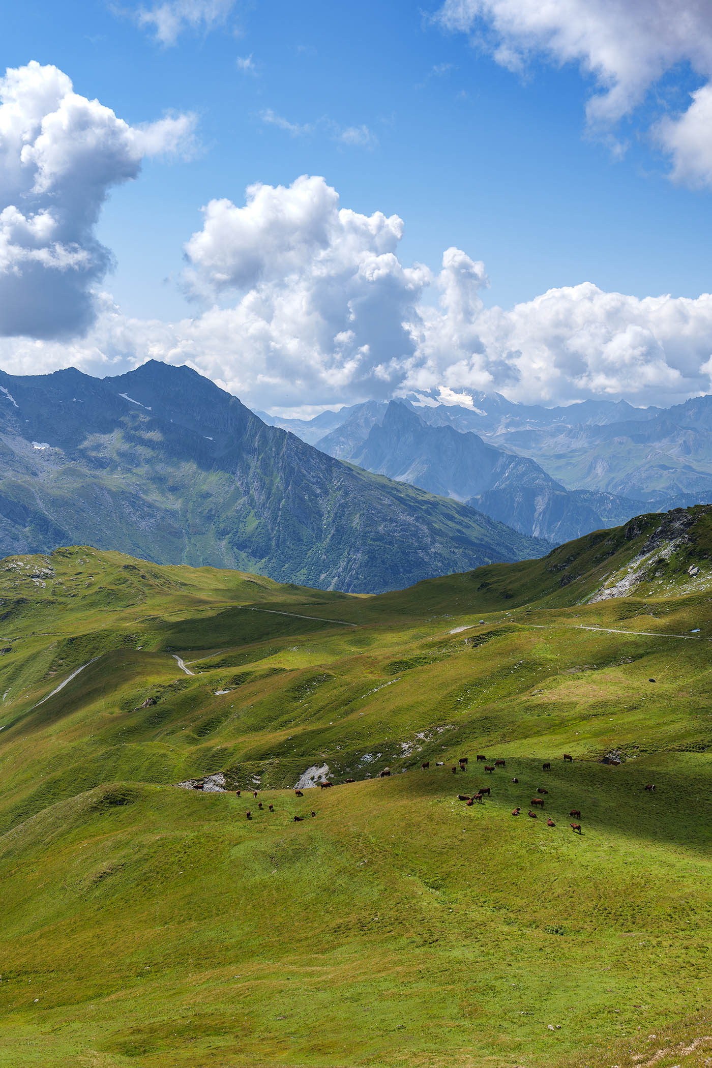 paysage Alpage en Savoie