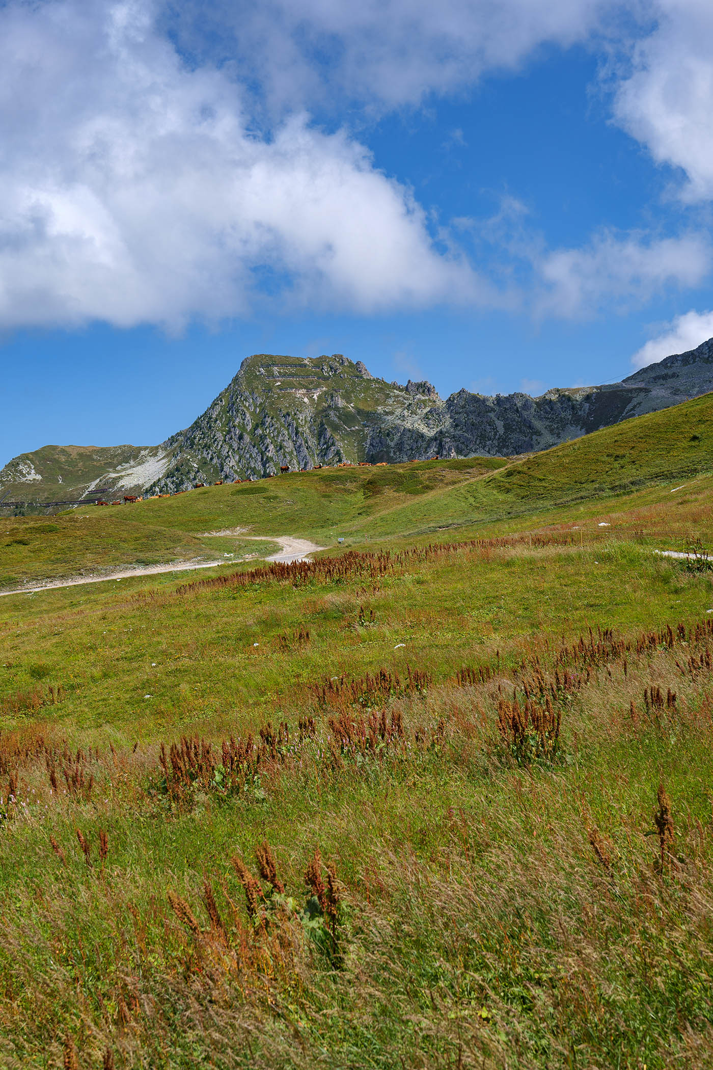 randonnée dans les Alpages à La Plagne