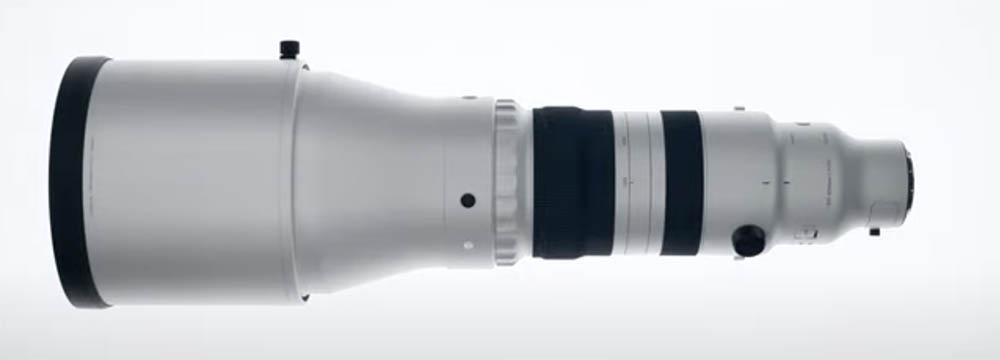 Sigma 300-600mm f4 DG DN Sports