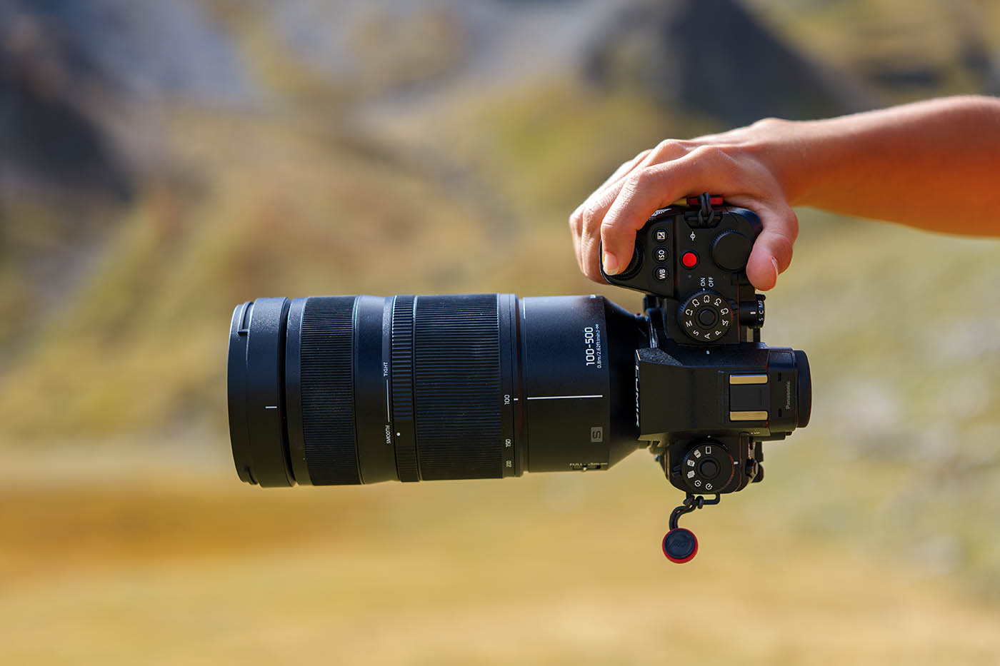 meilleur objectif animalier Lumix