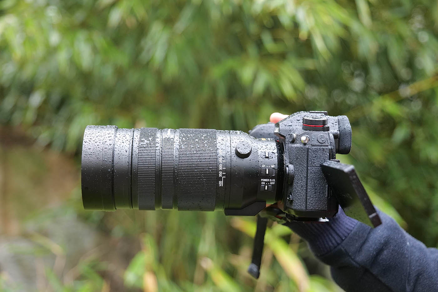 télé-objectif Panasonic Leica pour la photo animalière