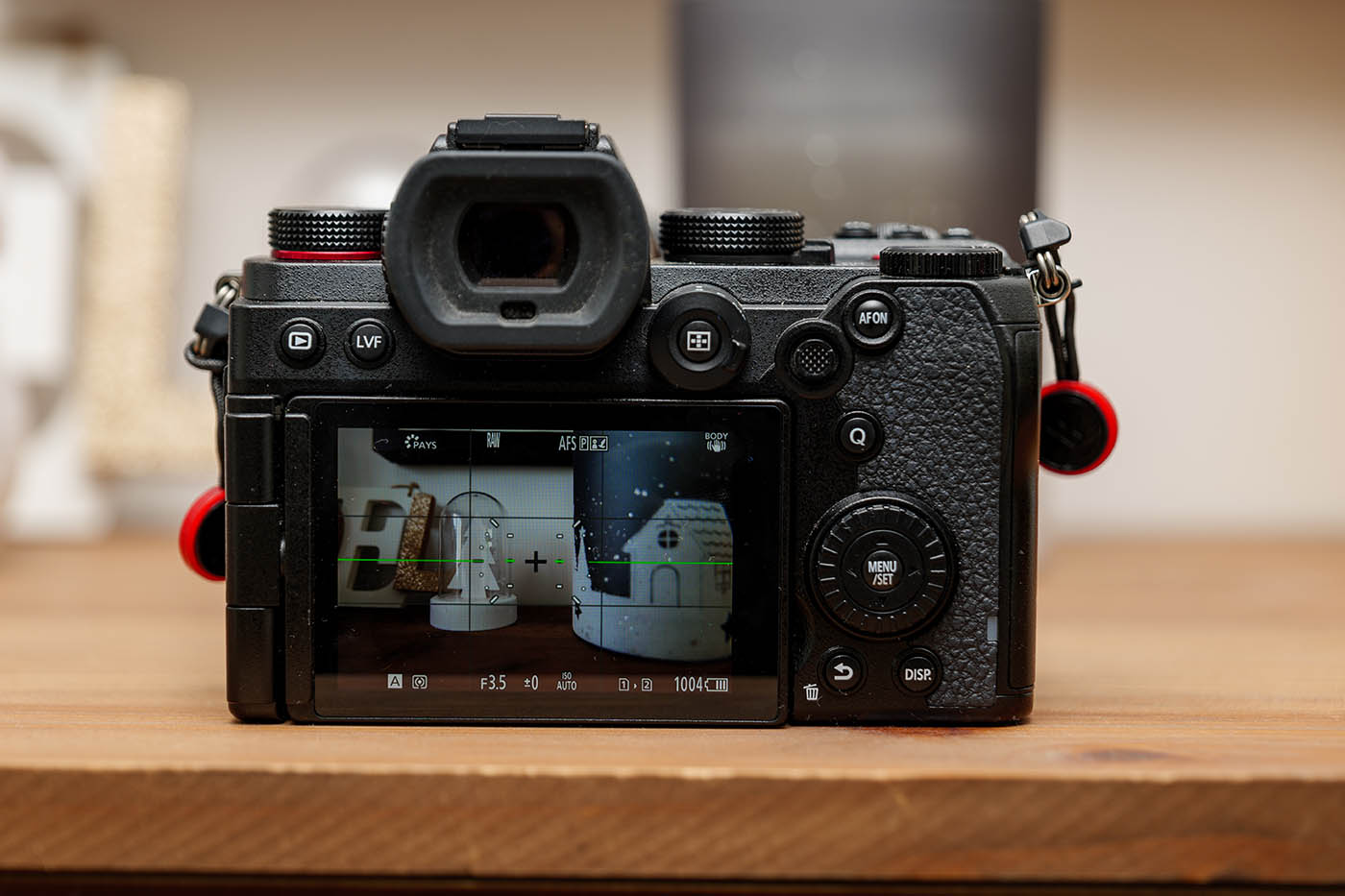 ajout ligne horizon et quadrillage pour configuration Lumix S5