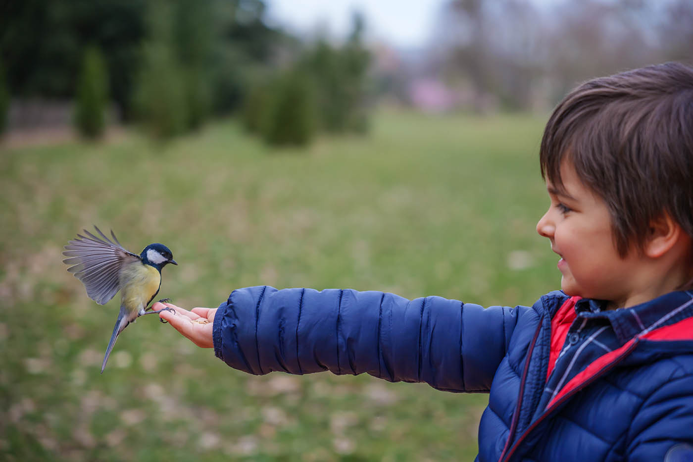 photographie animalière en famille