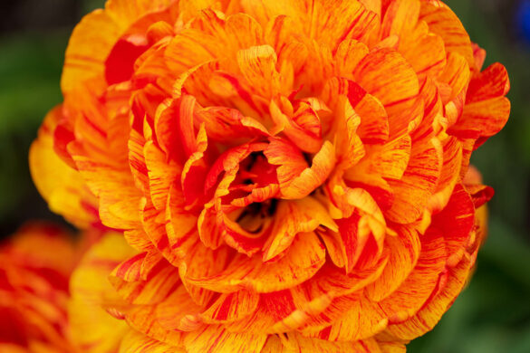 Comment faire une mise à jour Lumix ? - Blog Photo Lumix