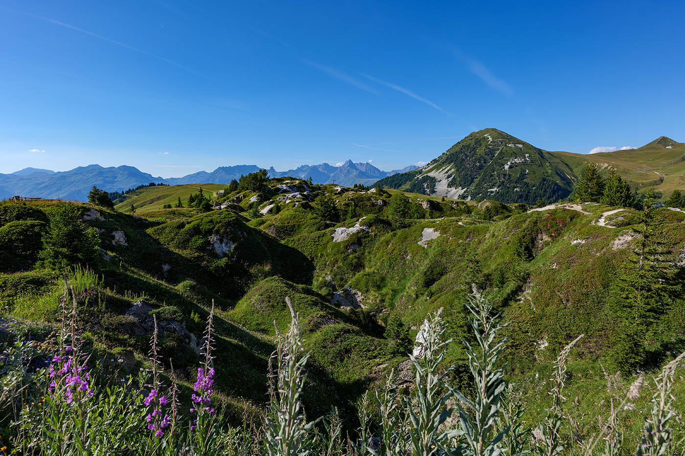 photographie de paysage de montagne au Sigma 20 mm f1.4 DG DN Art