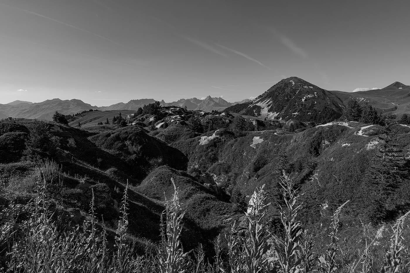 noir et blanc avec appareil photo Lumix