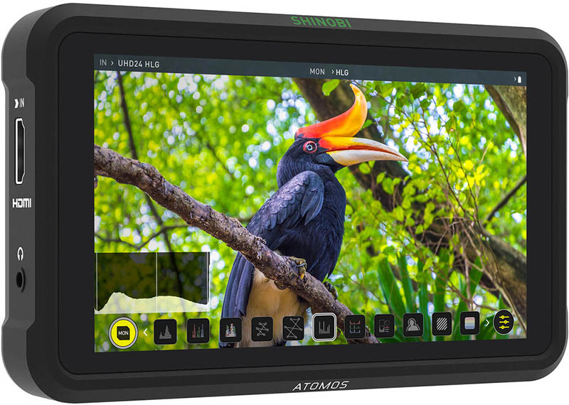 meilleur moniteur externe pour Lumix