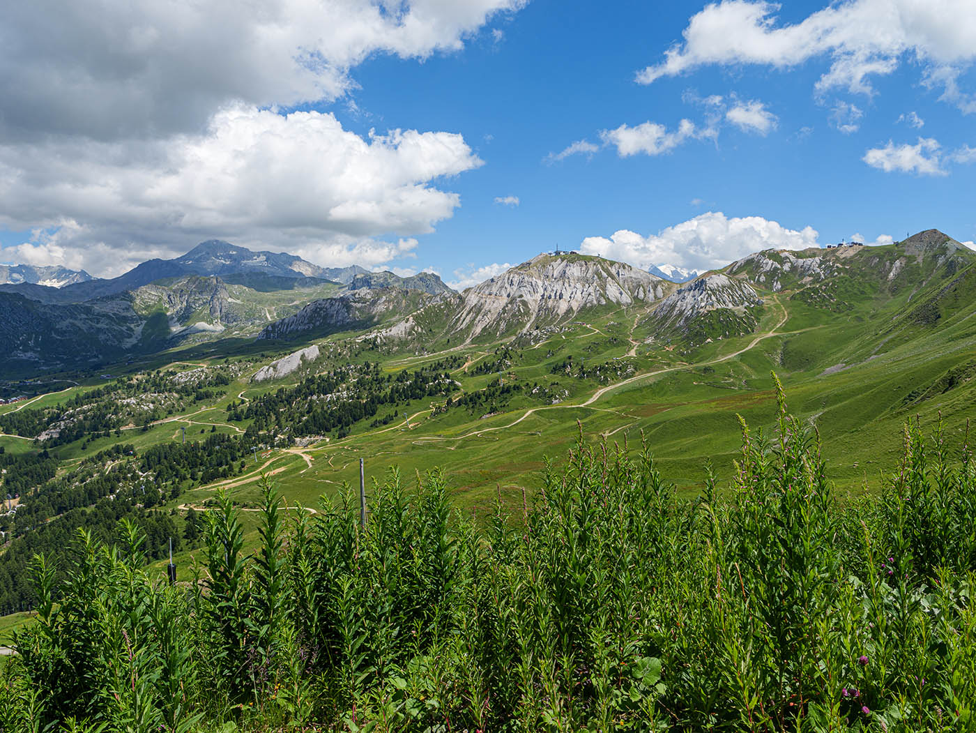 paysage en plan large 12 mm