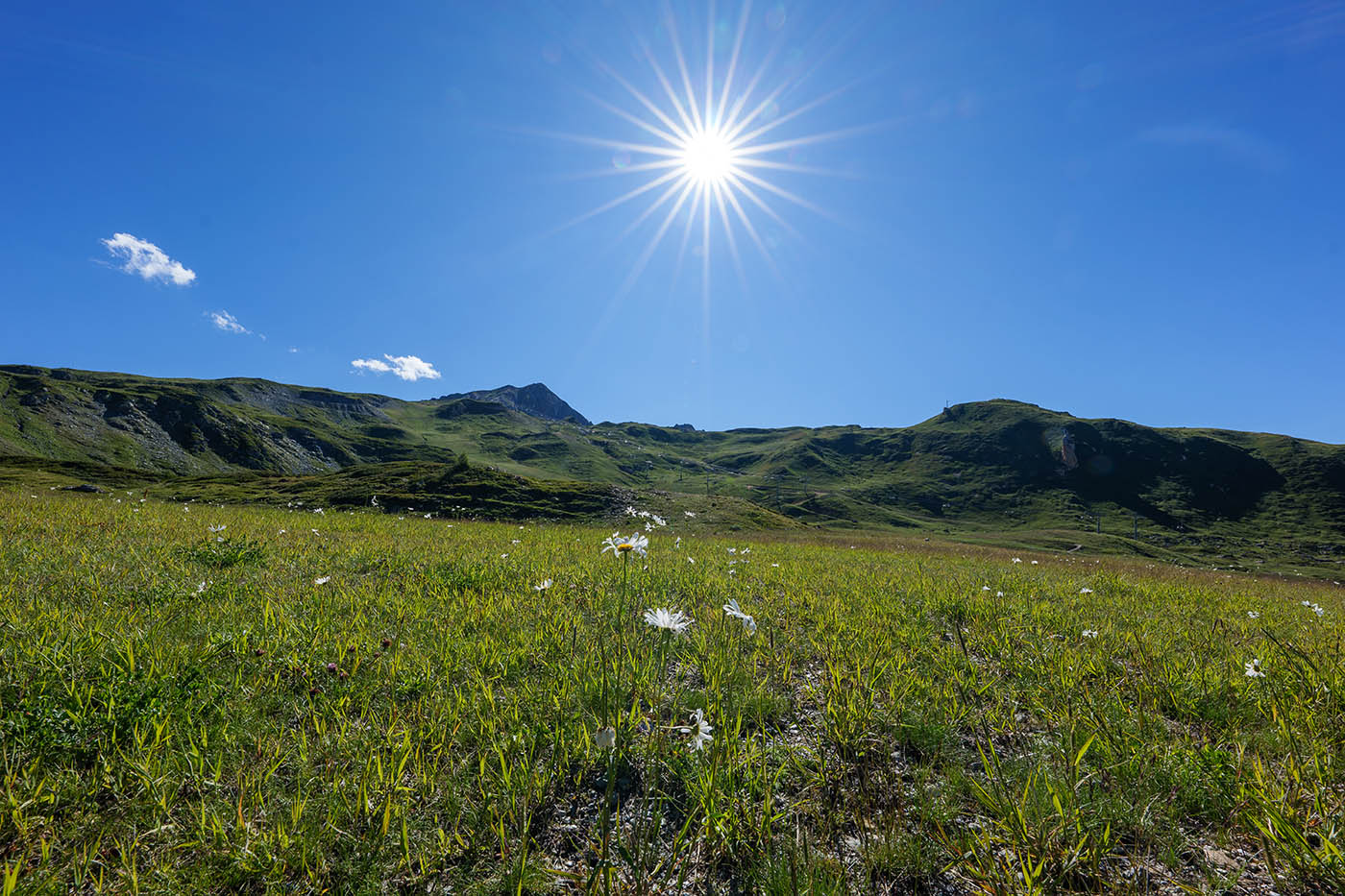 Sigma 14 mm f1.4 flare