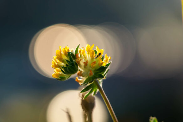 Comment faire une mise à jour Lumix ? - Blog Photo Lumix