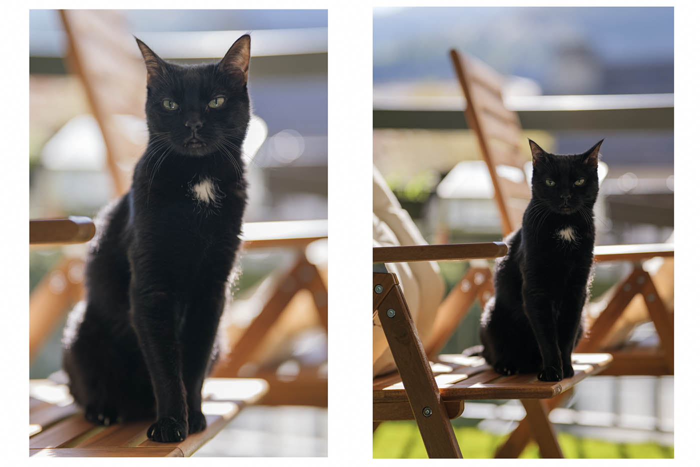 avis Sirui 85mm f1.4 Aurora