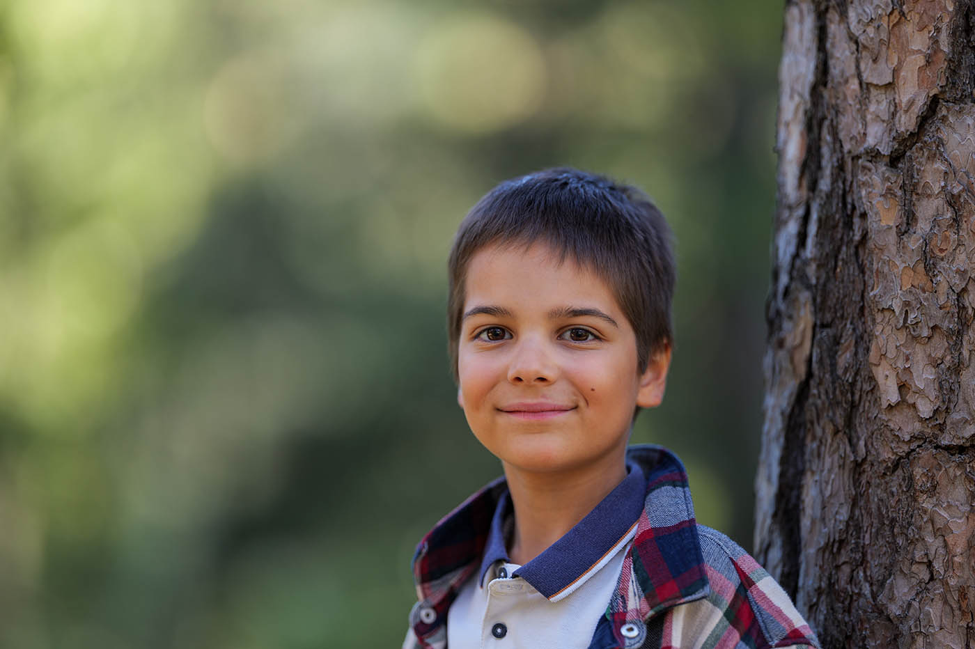Sigma 135 mm 1.4 bokeh