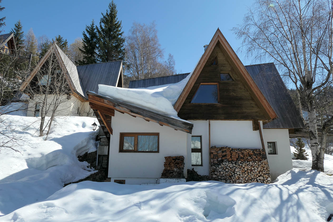 avis Lumix TZ300 Panasonic