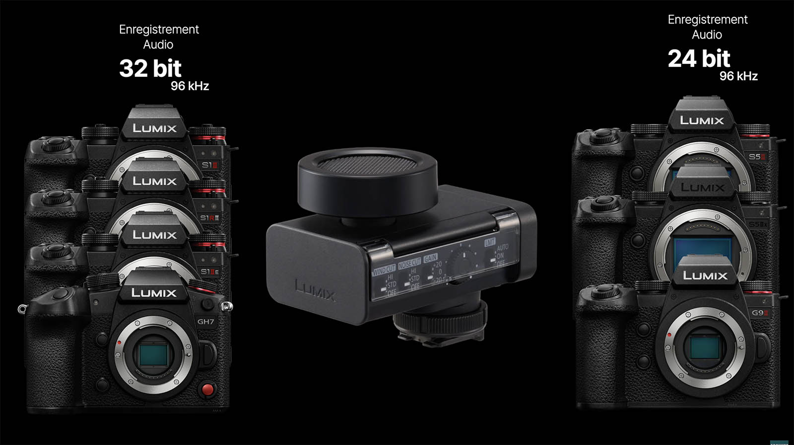 compatibilité micro Lumix DMS1