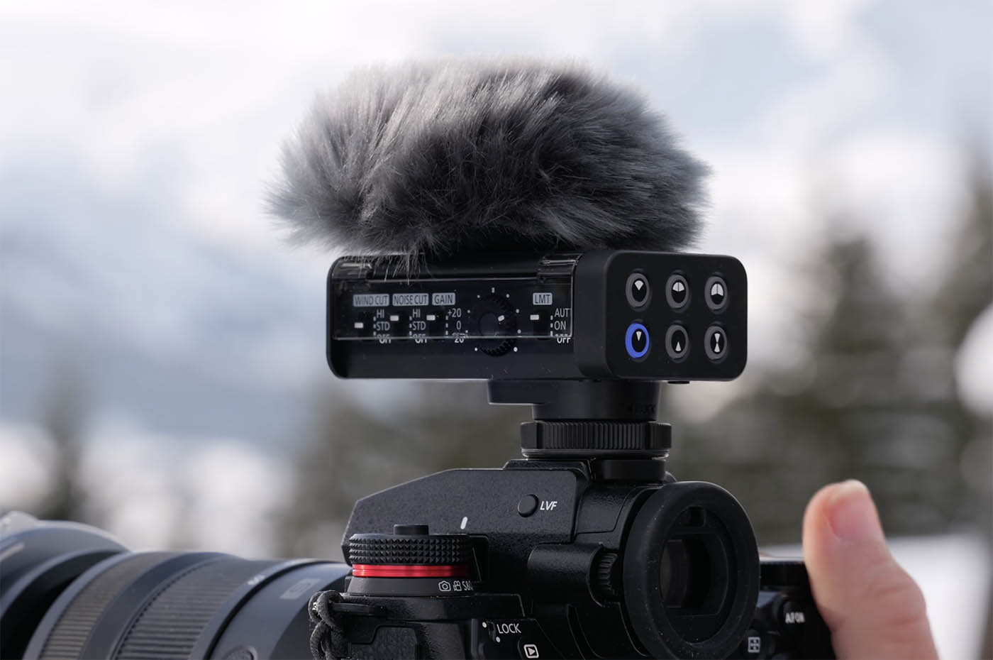 test terrain micro Lumix DMS1