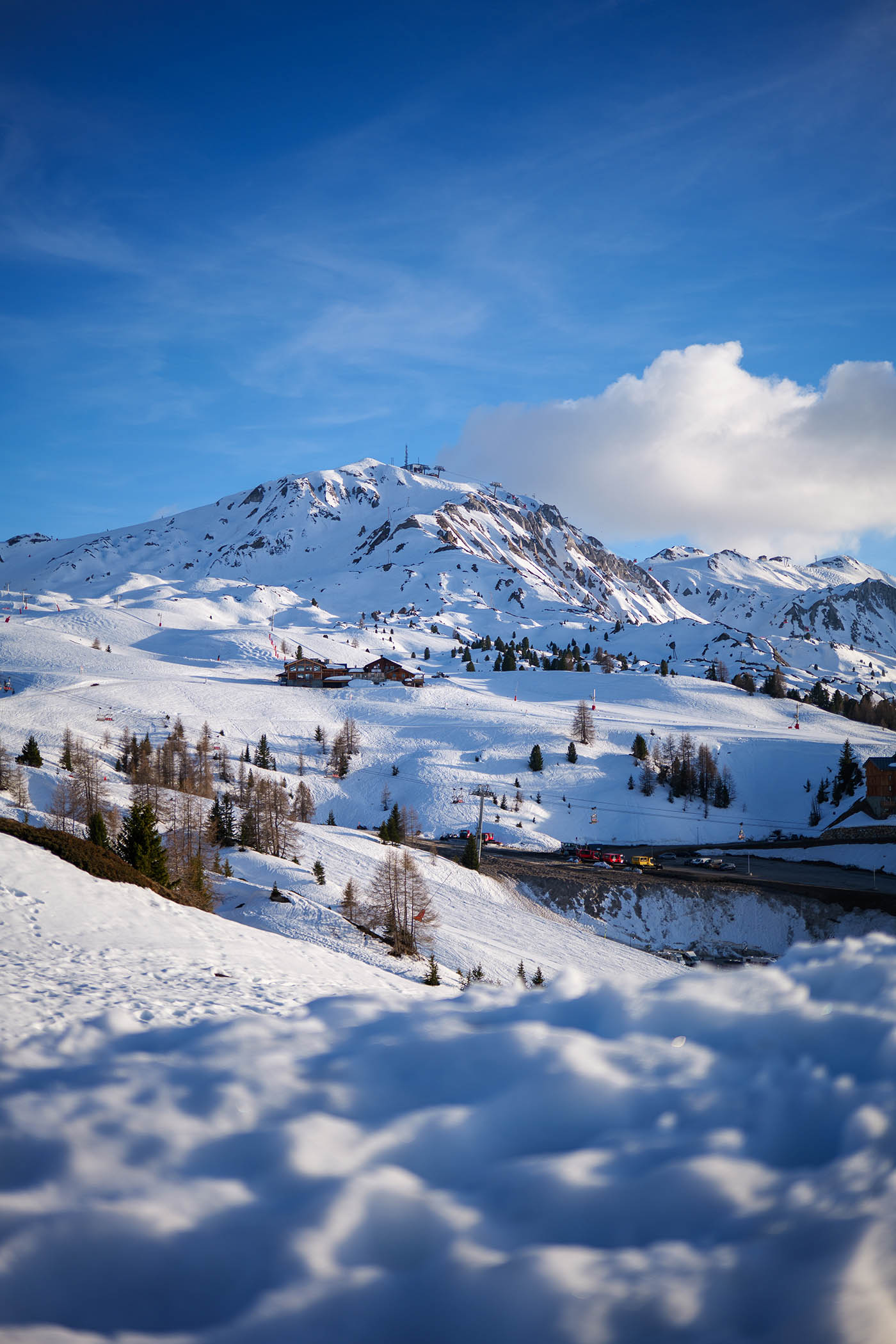 Lumix 40mm f2 test terrain