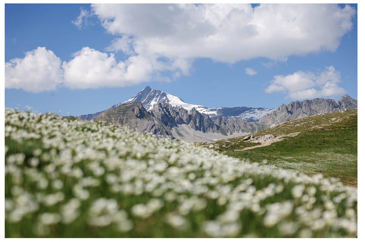 meilleur objectif paysage pour Lumix S5D