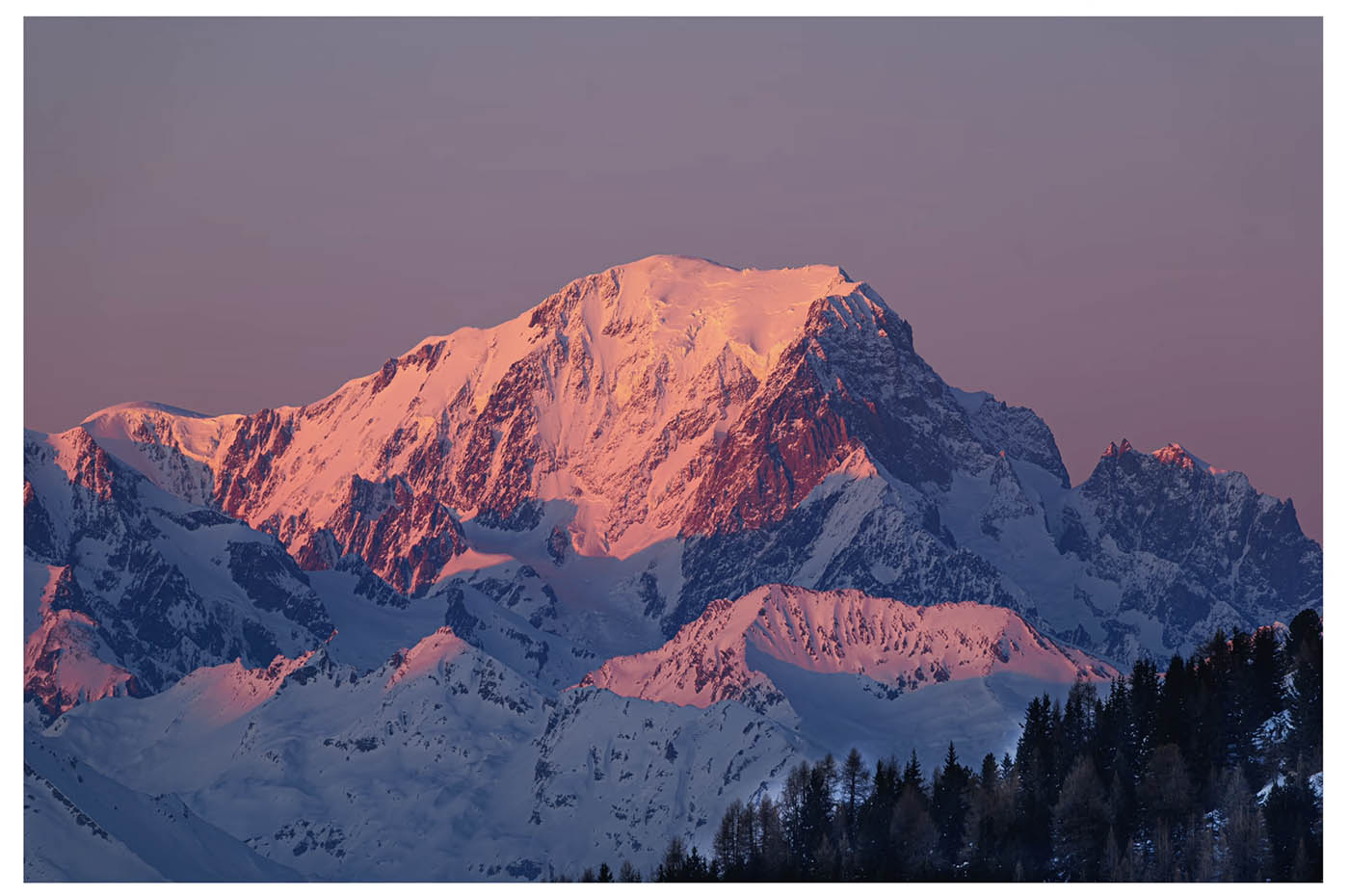 téléobjectif pour l'animalier et le sport