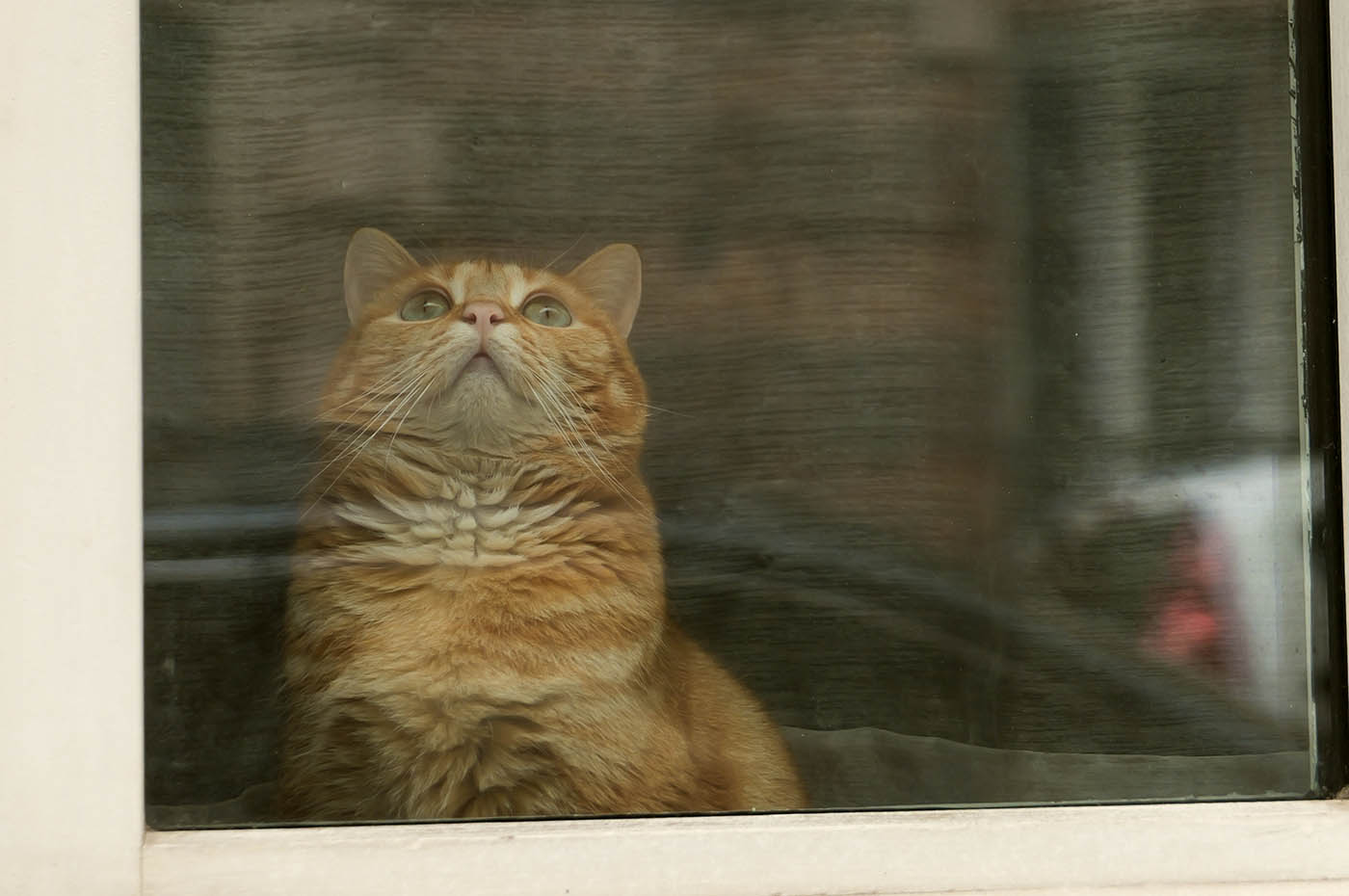 test Lumix L10