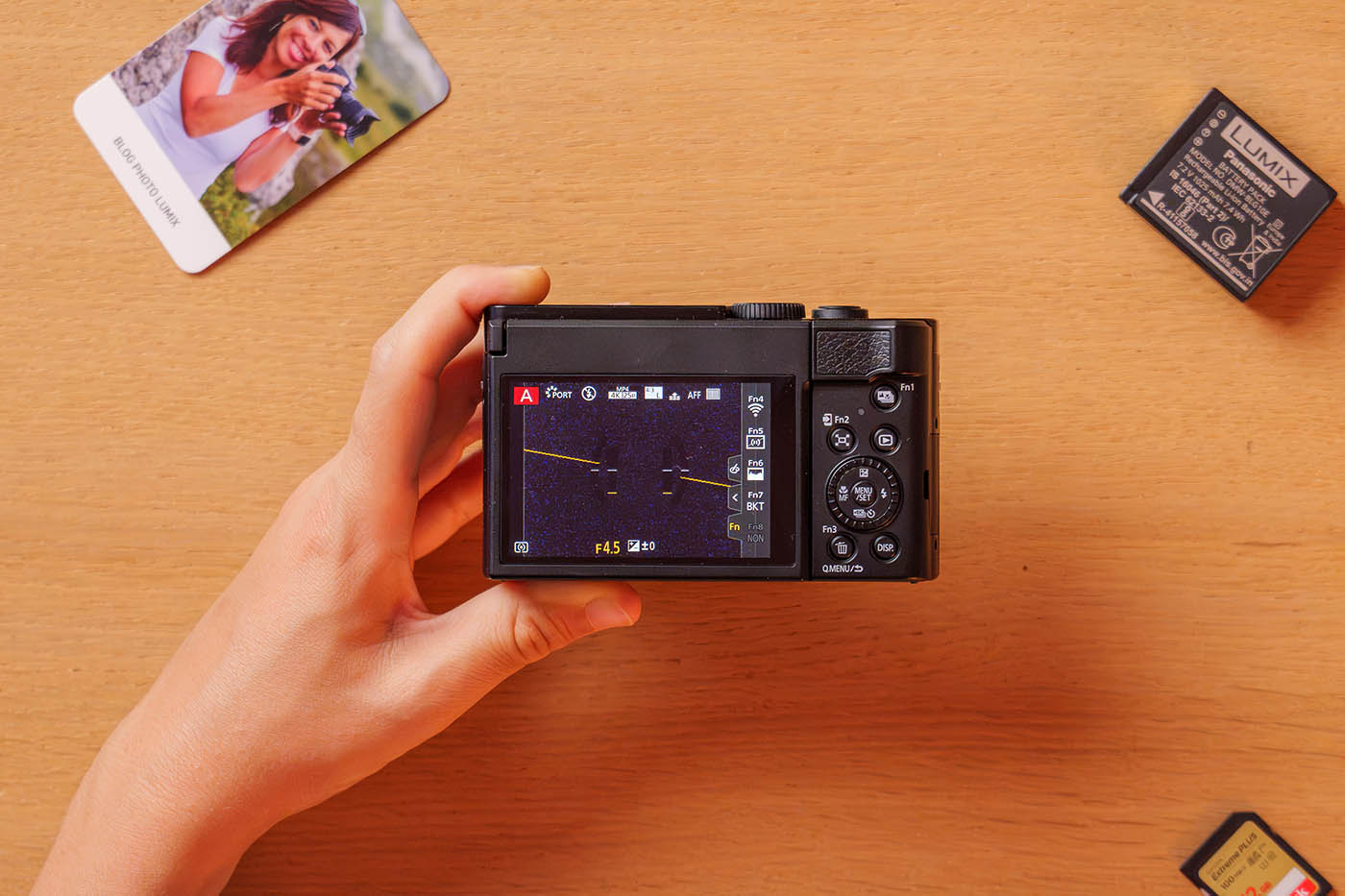 comment activer la ligne d'horizon sur un boitier Panasonic
